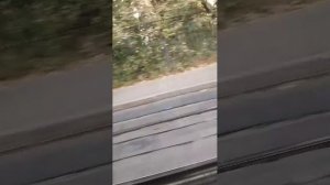 Поездки в общественном транспорте | 15-сен-2025, 3