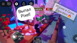 Grow a garden 1🍓🫐🍐🍏