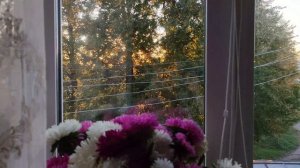 вечернее солнце смотрит в окошко в деревне