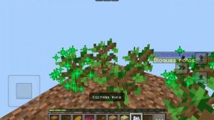 играю в minecraft один блок