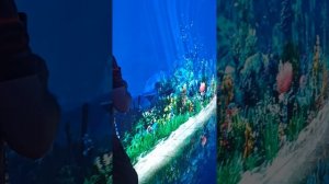 Краснодар. Парк Галицкого ч2.mp4