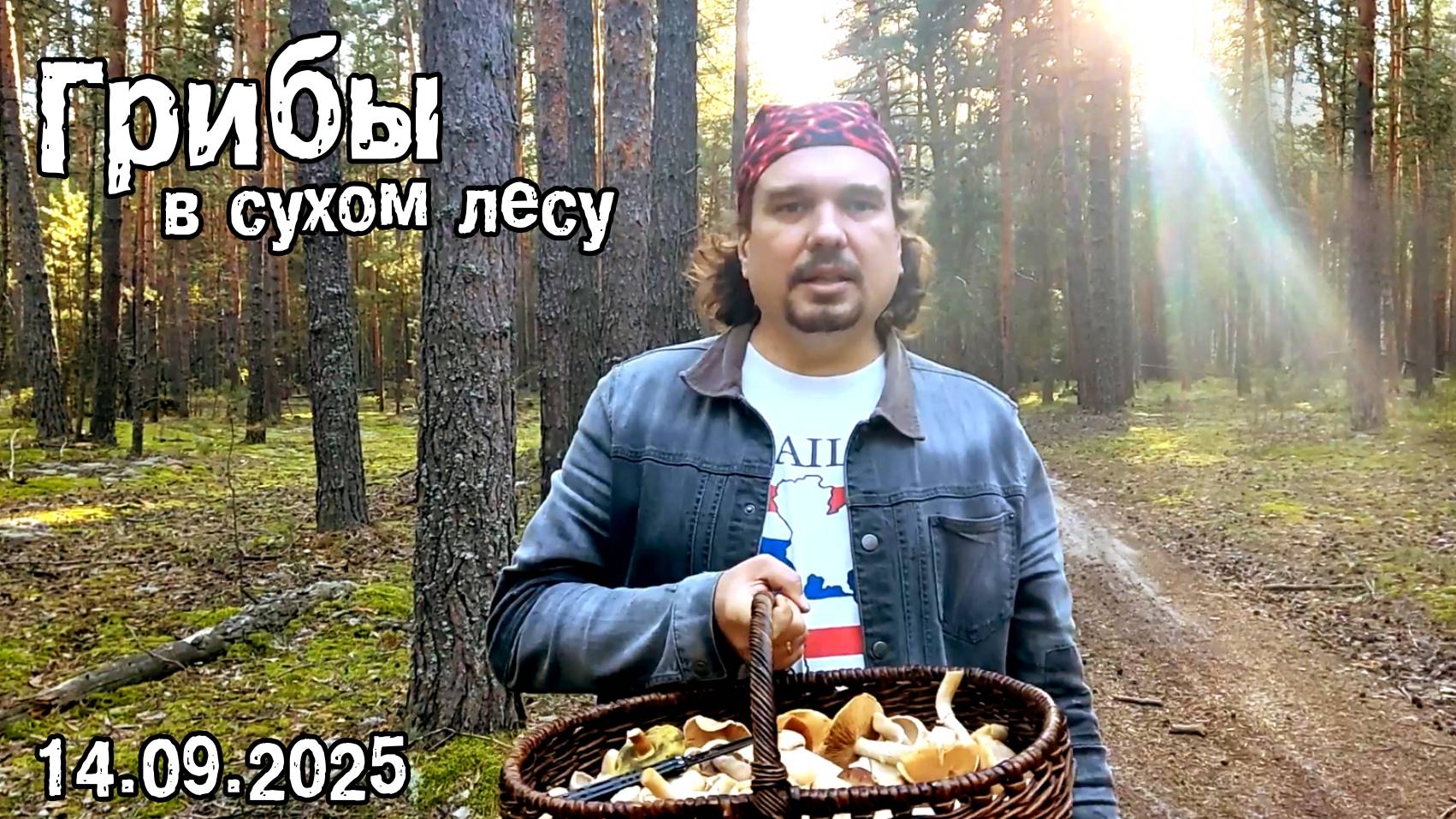 Грибы в сухом лесу.14.09.2025 смотреть онлайн