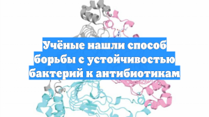 Учёные нашли способ борьбы с устойчивостью бактерий к антибиотикам