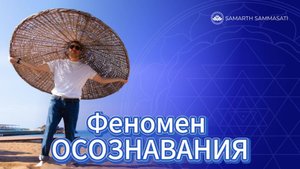 Твой путь!