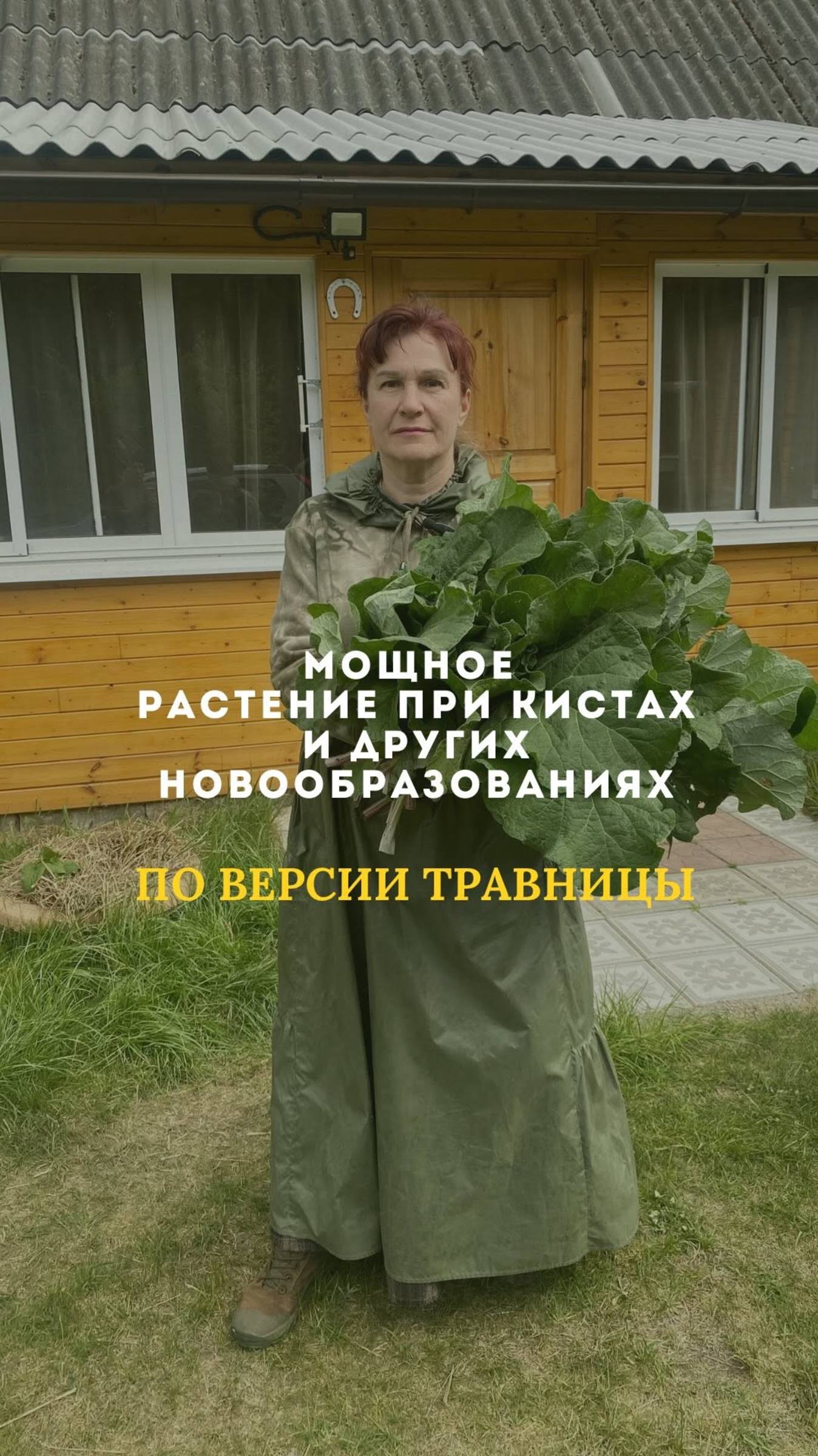 Мощное растение при кистах и других новообразованиях смотреть онлайн