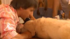 Уроки воспитания щенка. Новый дом ночные переживания