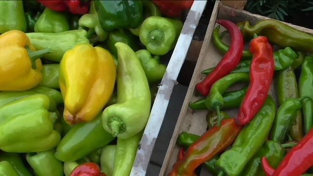 Последние перцы 16 сентября