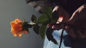 8927757-uhd_4096_2160_24fps