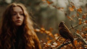 video_90 Осенний багрянец