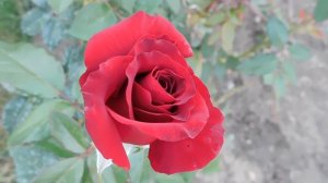 05=09=2025   Ю  КМР  (21)