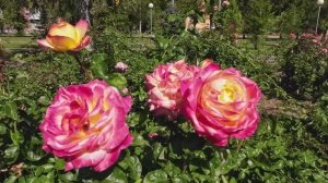 Воскресная прогулка от Авангарда к Волге