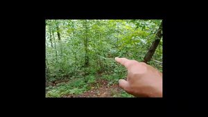 Минуя волжскую тропу день 2.