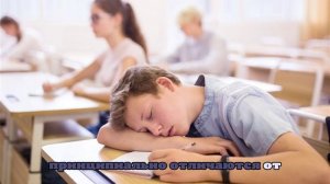 Минпросвещения не согласилось с данными СПЧ о чрезмерной нагрузке школьников