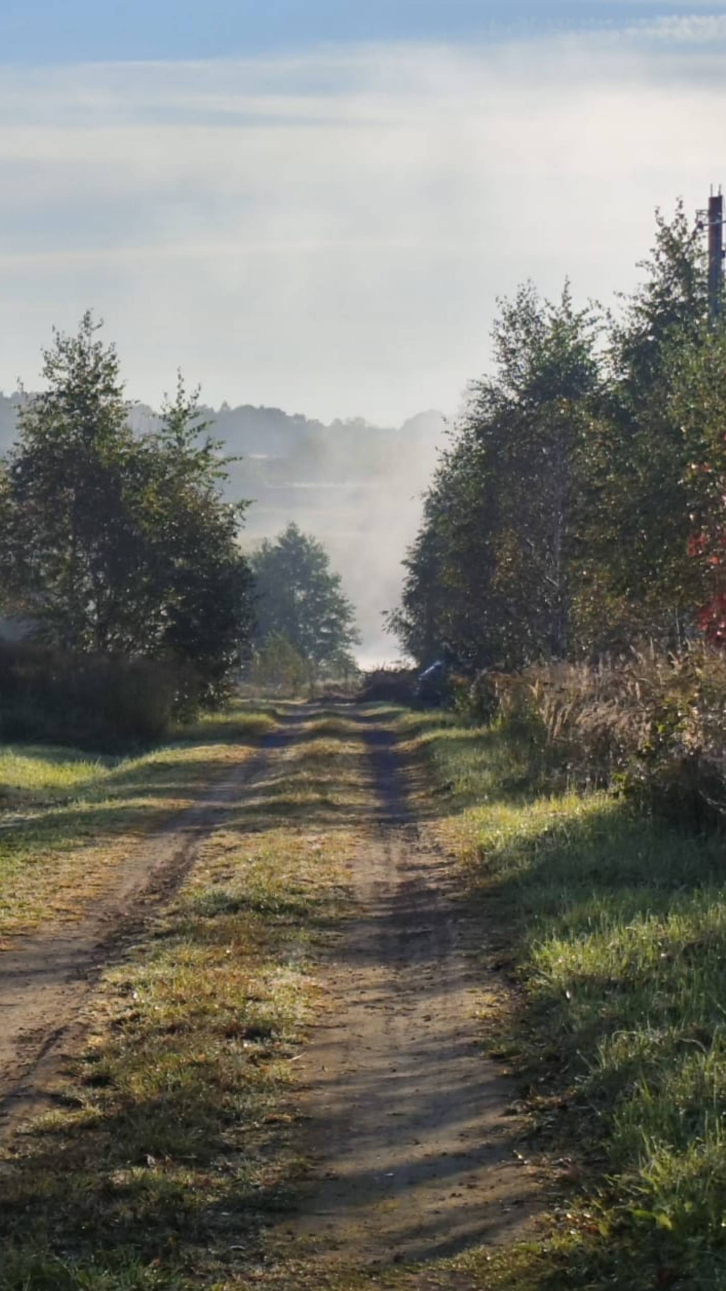 Путешествие кота - босса домой с комфортом! 🚗💤