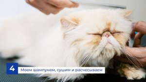 Рекламно-обучающий контент