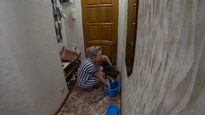 Бася-Рита моет лапы. День 5-й у нас. 21.08.2025