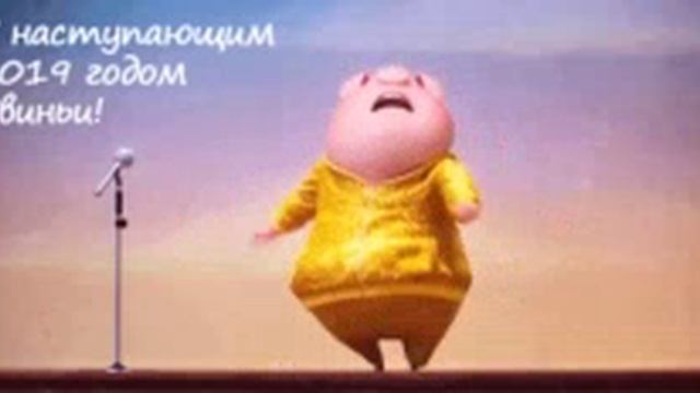 смешные видео