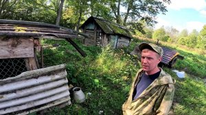 Брошенная собака ! Познакомился с соседями ! ХУТОР В ЛЕСУ №823
