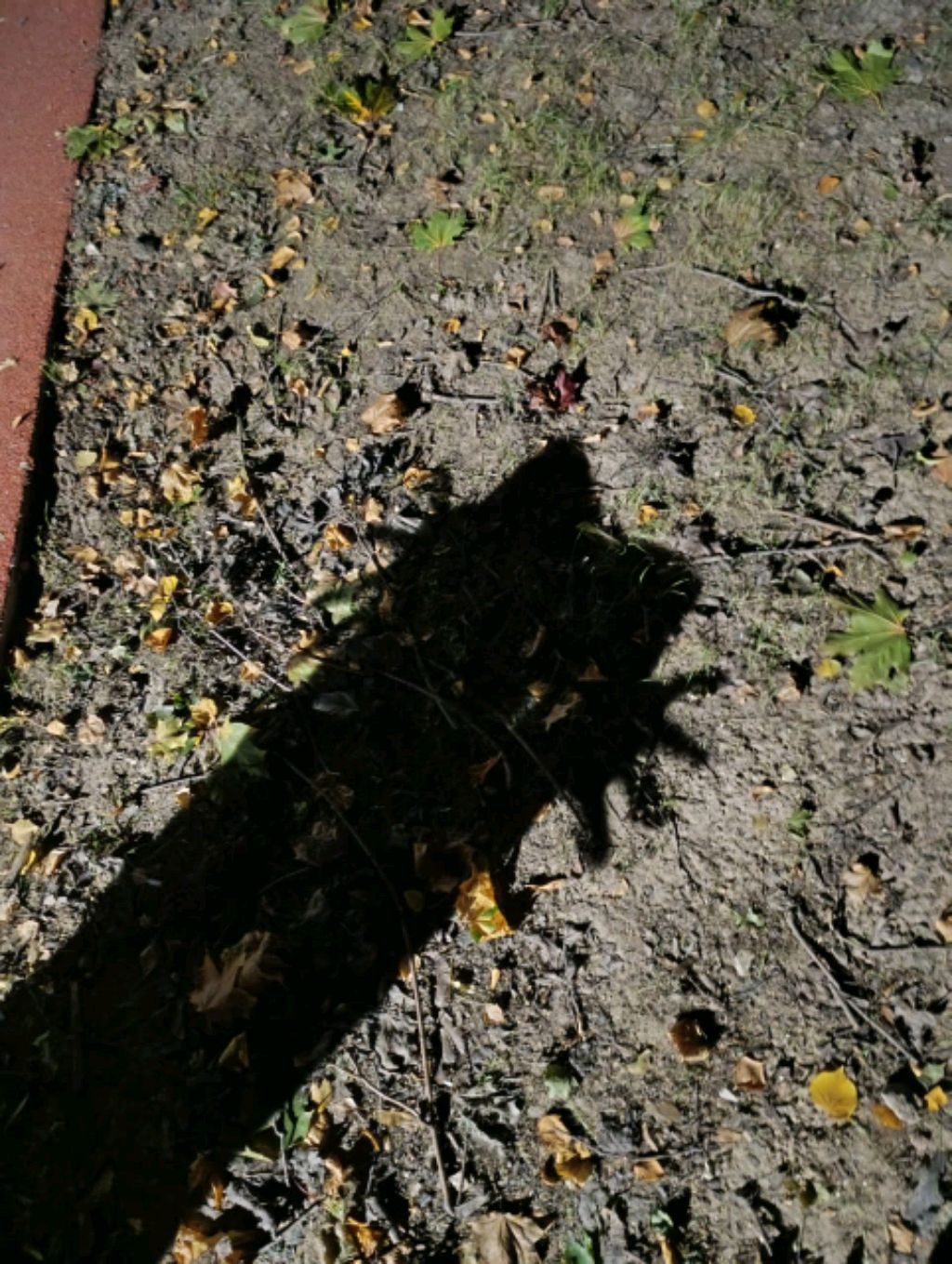 хззззззз смотреть онлайн