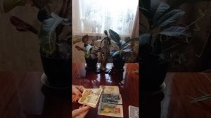 Таро.Что задумал мужчина.