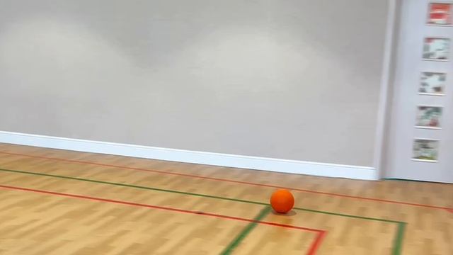 ЧУДО-МЯЧ. Начальная школа  детский сад Новое Развитие .