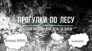 Прогулки по лесу День за днем с дедом Многоведом 14 сентября 2025г Эпизод 951