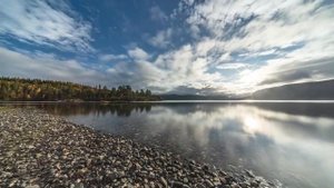 Биология. 5 класс 5 урок. Экологические факторы. Подготовка к ВПР, бесплатно.