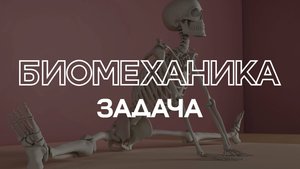 Решение задачи по биомеханике для фитнес-тренера