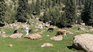 Путешествие по Киргизии