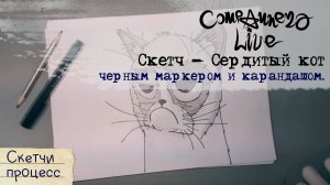 Скетч - Сердитый кот черным маркером и карандашом
