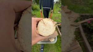 Удачные выходные !