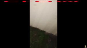 В Челябинской области неизвестные  поджигают мечети,а также оставляют на их территории свиные головы