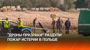 Польша признала: сбитые дроны оказались пустышками