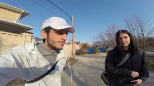 Прогулка , уличные собаки , уверенность и другое