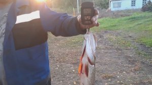 МЫ НА РЫБАЛКЕ-3🐠 ЩУЧЬЯ ГОЛОВА БЕЗ ЧЕСНОКА, НО С ЛУКОМ🤗