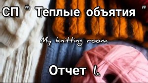 СП "Теплые объятия". Отчет 1.