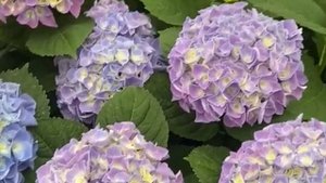 Истории из жизни|Пришлось отрабатывать Аудио рассказы|Аудиокниги слушать