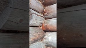 Заброшенные дачные участки #заброшка #дачи