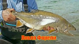 Ловля Форели (Моя Самая Крупная)
