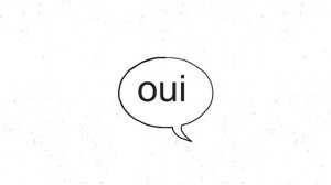 Lecon 5 Le français dans le monde - Karambolage - ARTE