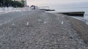 НОВИНКА за НОВИНКОЙ / Наслаждайся! "Две души"