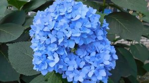 05=09=2025   Ю  КМР  (89)