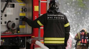 Площадь лесного пожара в Крыму увеличилась до 80 га