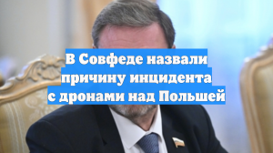 В Совфеде назвали причину инцидента с дронами над Польшей