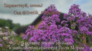 Здравствуй, осень
