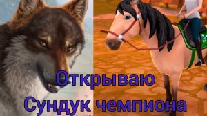 открываю сундук чемпиона в WolfTales и HorseRidingTales