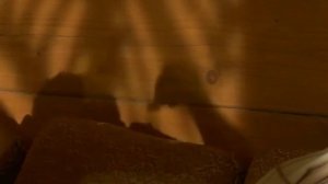 Туалет и гигиена