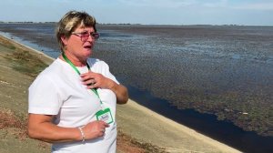 Вокруг Новороссийска