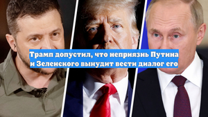 Трамп допустил, что неприязнь Путина и Зеленского вынудит вести диалог его