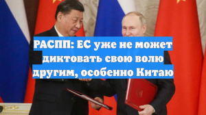 РАСПП: ЕС уже не может диктовать свою волю другим, особенно Китаю